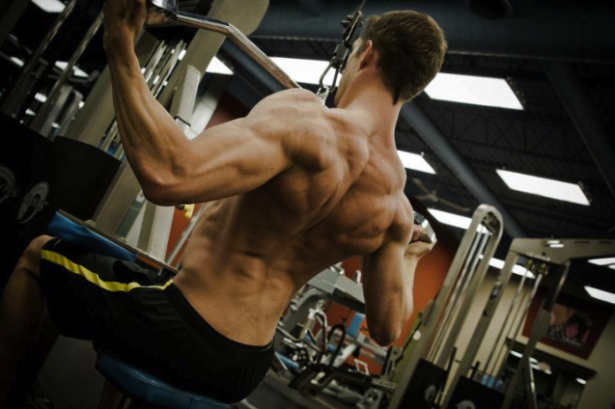 Muscular back matt ferro