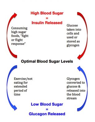 Crossfit, Weightlifting and the Neuroendocrine Response