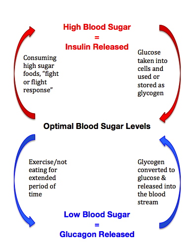 Insulin-Glucacon Feedback Loop