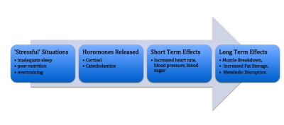 Effects of stress