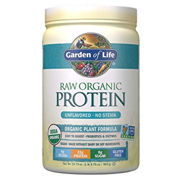 Raw Organic Protein Powder
