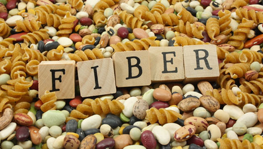 Fiber