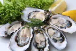 Oysters and testosterone