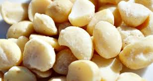 Macadamia nuts