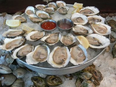 oysters