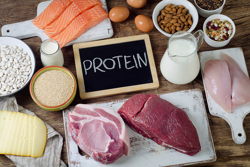 good sources of protein