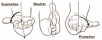 neutral grip