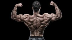 6 Rowing Exercises To Build a Huge Back That is THICK
