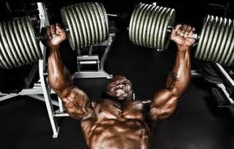 dumbbell bench press