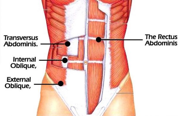 Abs diagram