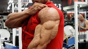 ripped triceps