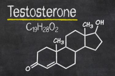 Best Testosterone Booster Ingredients: The Complete List
