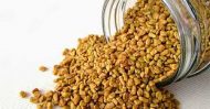 Fenugreek