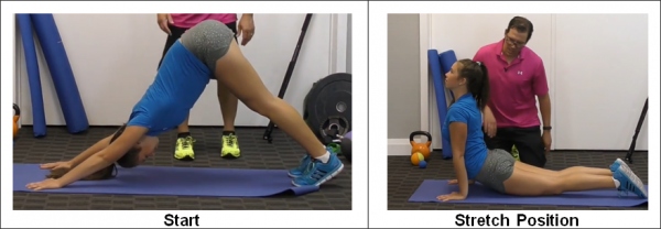 Fix An Anterior Pelvic Tilt Best Stretches And Exercises