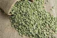 Green Coffee bean fat burner
