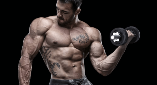 TestoFuel for building muscle