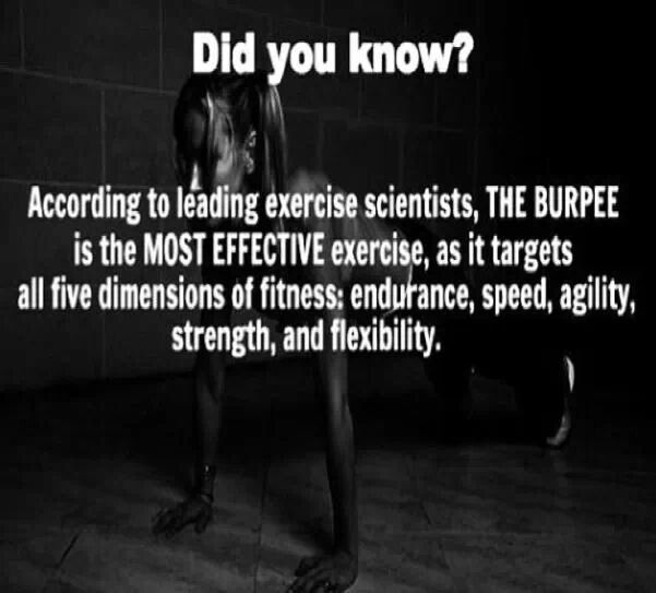 Burpee exercise