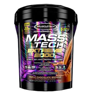 best Protein powders for muscle mass