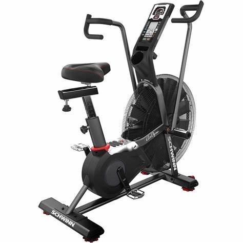 Schwinn Airdyne Pro