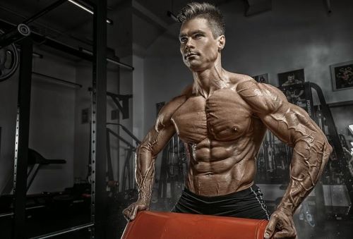 vascular ripped guy