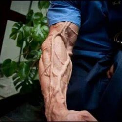 The 10 Best Supplements for Vascularity in 2022