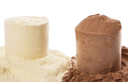 best whey protein isolate powders