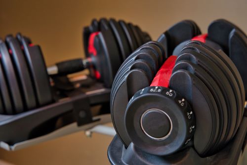 best adjustable Dumbbells