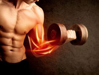 tips to build muscle