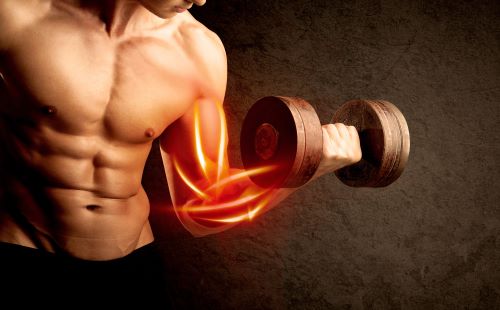 tips to build muscle