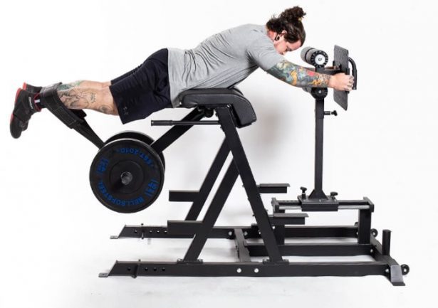 8 Best Glute Ham Developer Machines For 2024