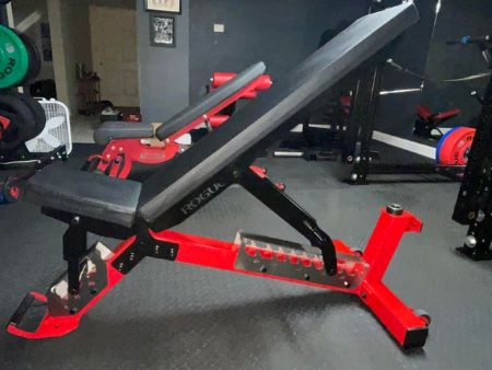 YOUGYM Patented Adjustable Benches for Exercise Free Installation Design for Portable Fitness Strength Training Equipment at Home Gym 