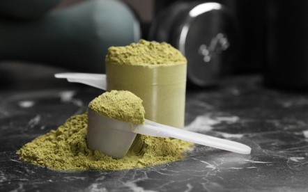 vegan protein powder