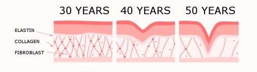 skin aging over time