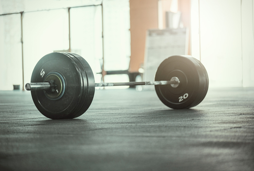 best barbells for home gyms