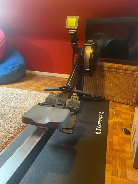 Concept 2 model D rowerg review