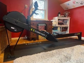 concept 2 model d rowerg review