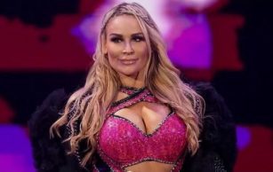 25 Hottest Female Pro Wrestlers and WWE Divas Of All Time