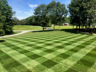 Striped lawn